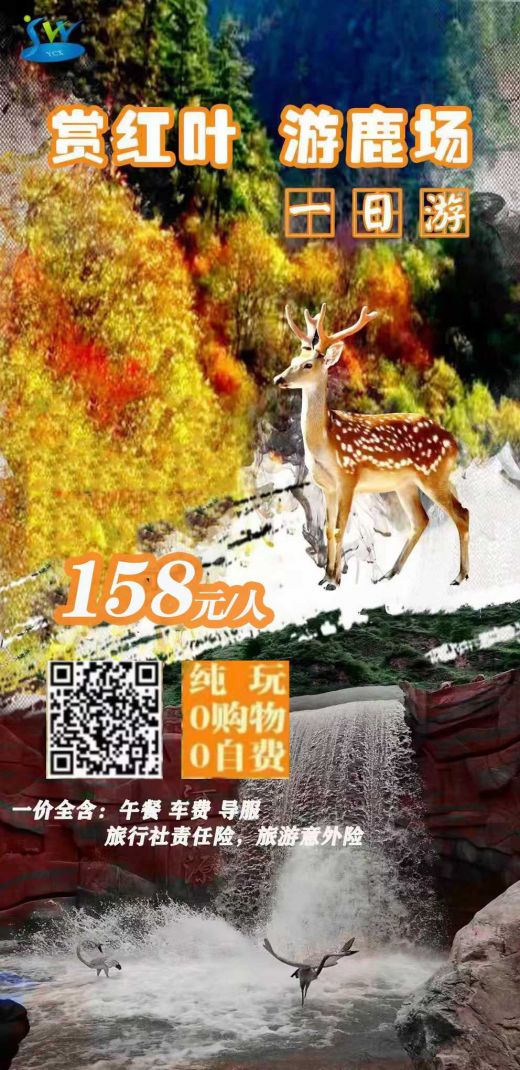 25101615053517739.jpg
